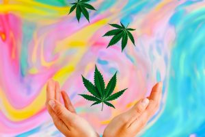 High Tide Inc: Overlooked Pot Stock Just Reported Some Big News