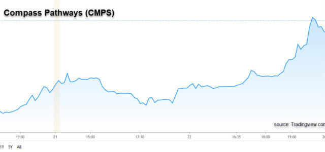 IPOs Drive Big Gains In Psychedelic Stocks