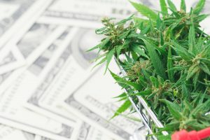 Jushi Holdings Inc: Why This $2.14 Pot Stock Might Double Again