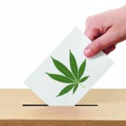 Marijuana Consumer Group Launches Nationwide Get-Out-The-Vote Campaign