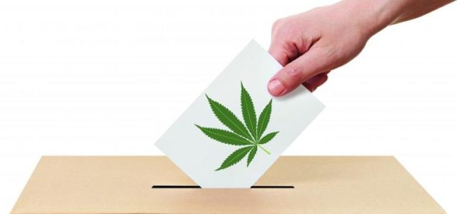 Marijuana Consumer Group Launches Nationwide Get-Out-The-Vote Campaign