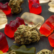Medical Cannabis Edibles Now Available In Florida