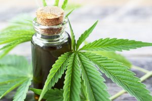 Planet 13 Holdings Inc: World’s Largest Pot Dispensary Poised for Record Q3