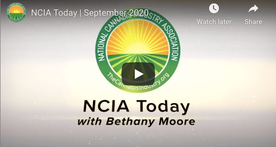 Video: NCIA Today – Federal Policy Update, Andrew Yang, And More!