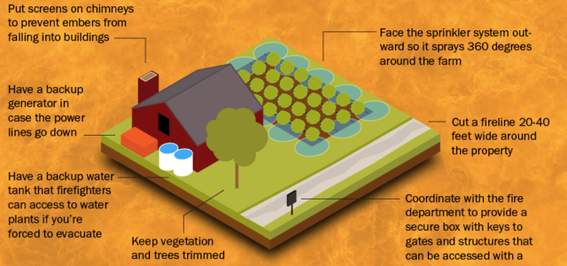 6 ways hemp growers can defend their farms against wildfires