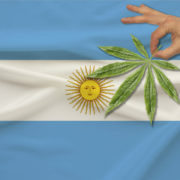 Argentine Cannabis: Legalization Coming Soon?