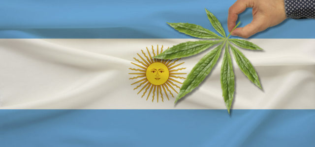 Argentine Cannabis: Legalization Coming Soon?