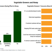 Chart: Majority of US vegetable growers steering clear of hemp production for now