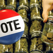 Could Marijuana Be The Big Winner In Tuesday’s Vote?