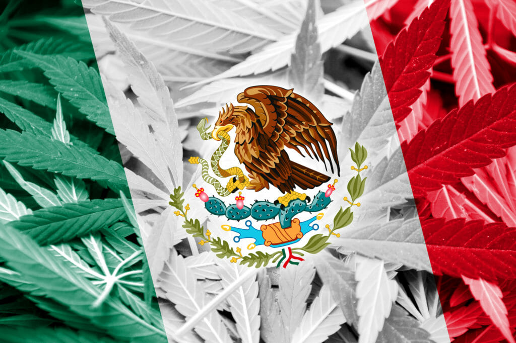 hemp mexico