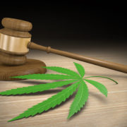 Hemp farmers sue South Carolina processor, allege crops were ruined