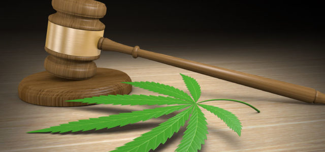 Hemp farmers sue South Carolina processor, allege crops were ruined