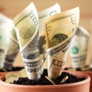 New $102 million equity fund targets science, tech hemp and MJ businesses