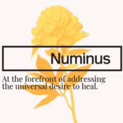 Numinus First Canadian Public Company to Complete Legal Harvest of Psilocybe Mushrooms