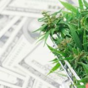 TerrAscend Corp: Pot Stock up 381% Since March, but Could Easily Double