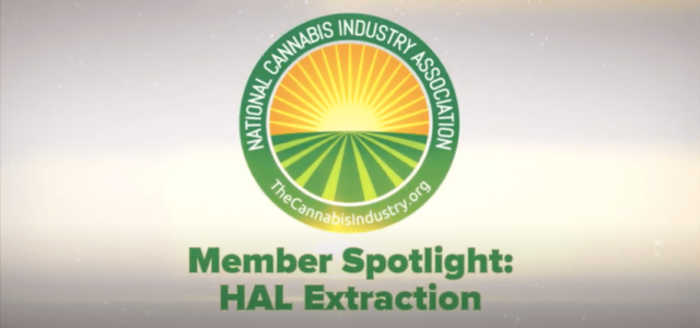 Video: Member Spotlight – HAL Extraction