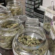 Wisconsin County Lowers Cannabis Possession Fines to $1
