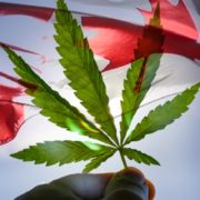 2 Canadian Marijuana Stocks With Future Potential