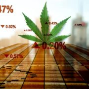  Are These The Top Marijuana Stock Picks for 2021?