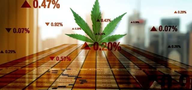  Are These The Top Marijuana Stock Picks for 2021?