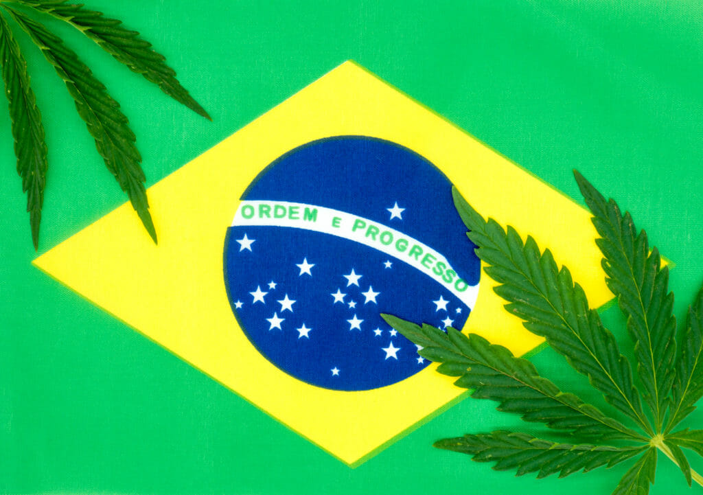 brazil cannabis