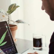 Looking For Marijuana Stocks To Invest In? 2 With Bullish Price Targets