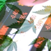 Looking For The Best Marijuana Stocks To Buy For 2020? 2 Pot Stocks To Watch Now