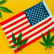 More States Vote for Marijuana Legalization: Anticipate Pot Stock Profits