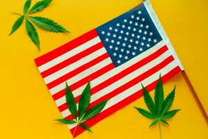 More States Vote for Marijuana Legalization: Anticipate Pot Stock Profits