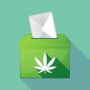 Opinion: After the election, let’s focus on fixing the arbitrary THC standard in hemp