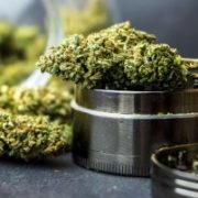 OrganiGram Holdings Inc: 3 Reasons to Check out This $1.23 Pot Stock