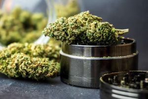 OrganiGram Holdings Inc: 3 Reasons to Check out This $1.23 Pot Stock