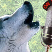 Tim Seymour, Guy Adami & The Wolf Discuss Marijuana Stocks & Pop Culture