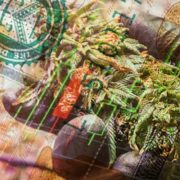 U.S Marijuana Stocks Vs Canadian Cannabis Stocks