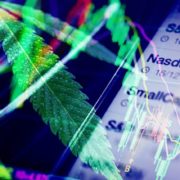 What Will These Marijuana Stocks Face In 2021