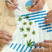 2 Top Marijuana Stocks To Add To Your 2021 Portfolio