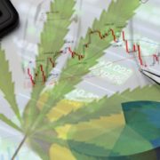 3 Interesting Marijuana Stocks To Watch This Month