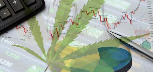 3 Interesting Marijuana Stocks To Watch This Month