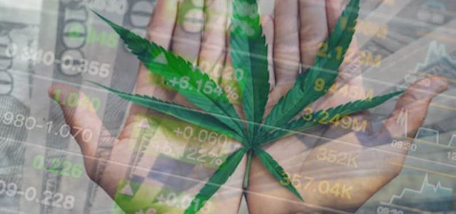 Are These Marijuana Stocks A Good Investment? 2 Pot Stocks To Watch Under $1