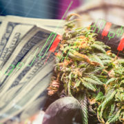 Are These Marijuana Stocks Built For The Future Of The Cannabis Industry