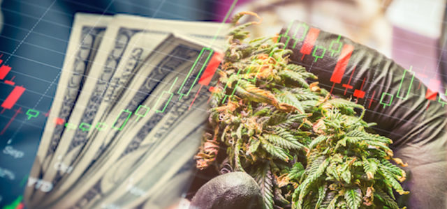 Are These Marijuana Stocks Built For The Future Of The Cannabis Industry