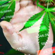 Are These The Best Cannabis Stocks To Buy Before 2021?