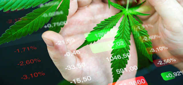 Are These The Best Cannabis Stocks To Buy Before 2021?