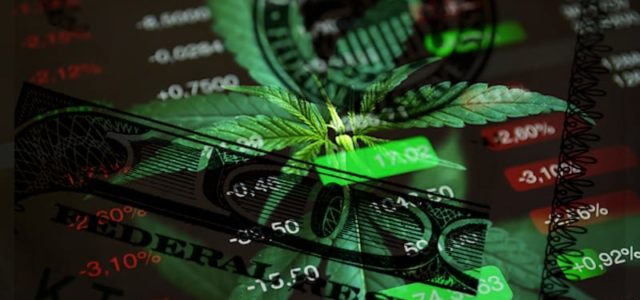 Are These The Best Cannabis Stocks To Invest In? Top Marijuana Stocks For 2021
