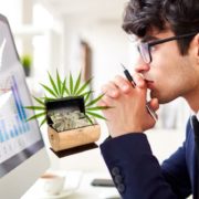 Are These The Best Marijuana Stocks To Buy For 2021? Top Performing Pot Stocks Of 2020