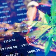 Are These Two Marijuana Stocks Buys Right Now?