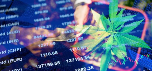 Are These Two Marijuana Stocks Buys Right Now?