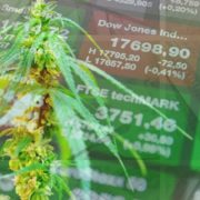 Are You Looking For Marijuana Stocks To Buy? Here Are 2 Top Pot Stocks To Watch