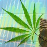 Are You Looking To Invest In Marijuana Penny Stocks Today? 2 Pot Stocks Under a $1 For 2021
