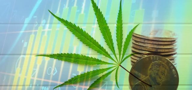Are You Looking To Invest In Marijuana Penny Stocks Today? 2 Pot Stocks Under a $1 For 2021